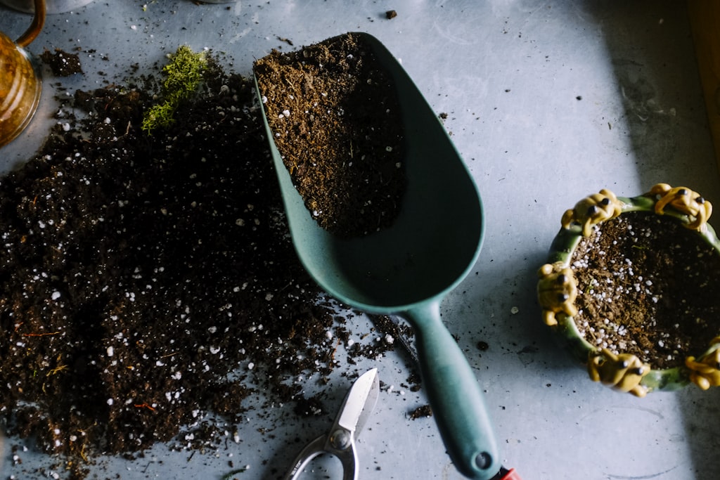 Mani di un agricoltore con prodotti biologici freschi
